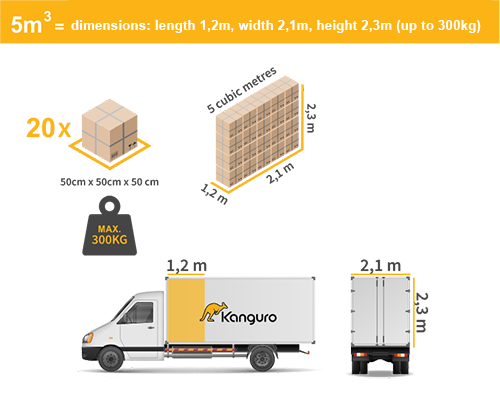 Kanguro European Man & Van_2