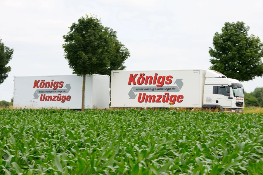 Königs Umzüge_1