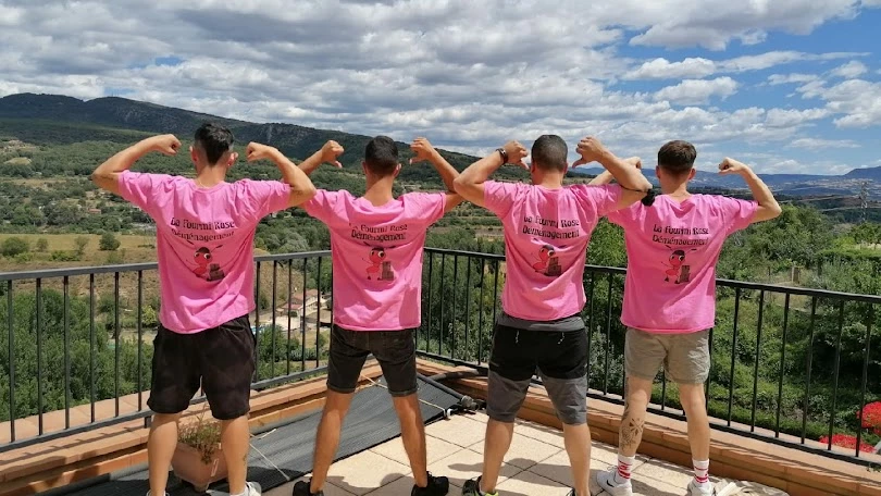 La Fourmi Rose Déménagement_1