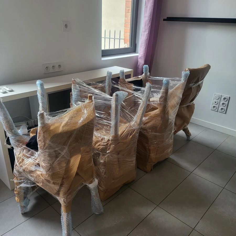 La Fourmi Rose Déménagement_2