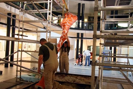 Lanzell Spezialtransport Berlin_5