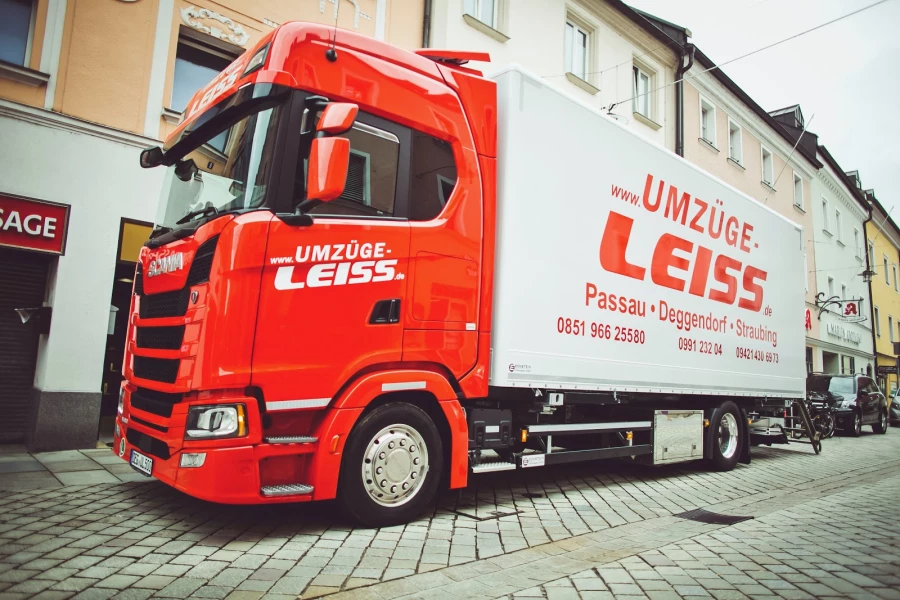 Leiss Günther Umzüge_1