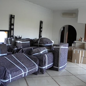 Les Boss du Déménagement_5