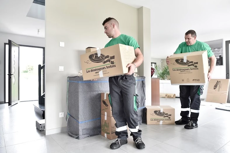 Les déménageurs bretons SNGM_3