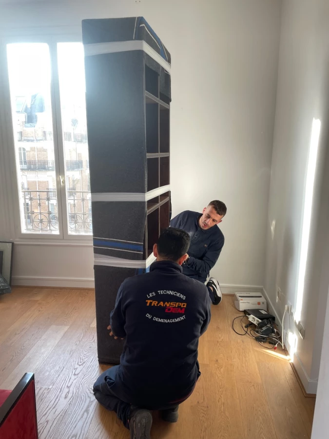 Les Techniciens Du Déménagement_4