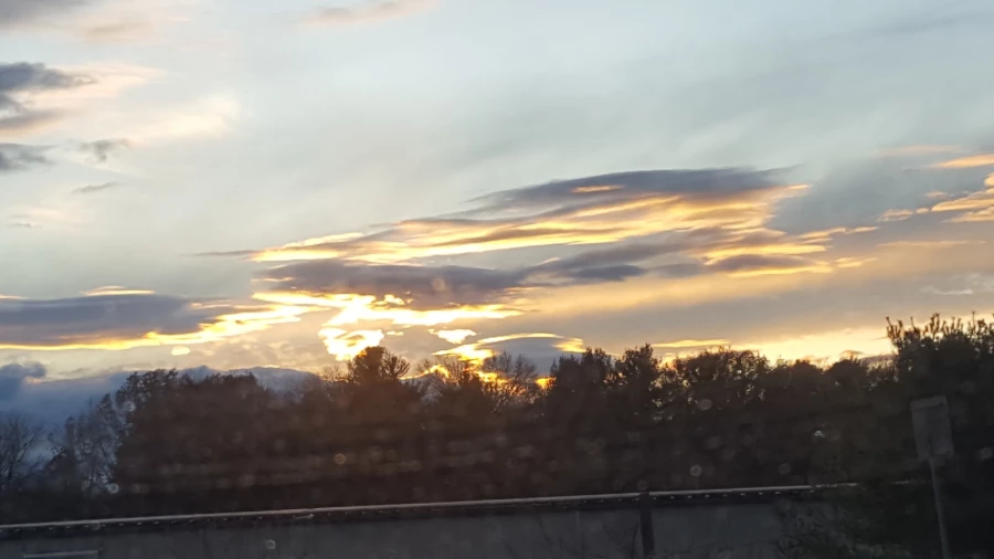 Liedkie Moving & Storage_1