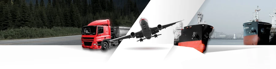 Logistica Dieb_1