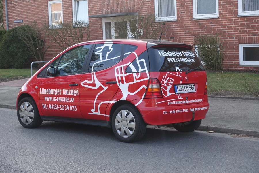 Lüneburger Umzüge_5