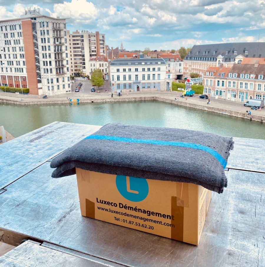Luxeco Déménagement_3