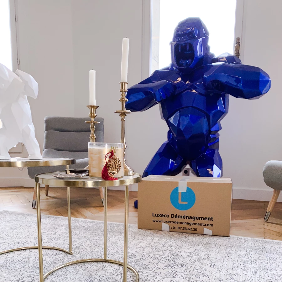 Luxeco Déménagement_5