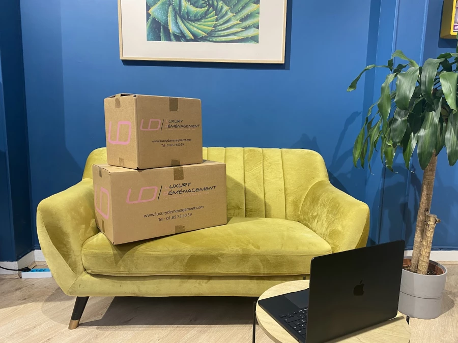 Luxury Déménagement_5