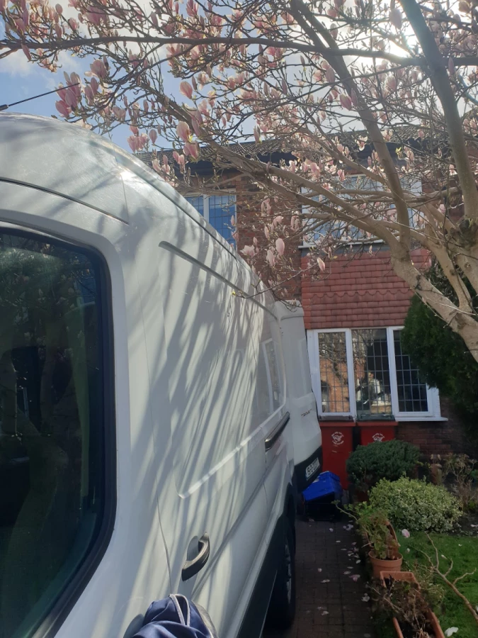 Man with Van Ireland_4