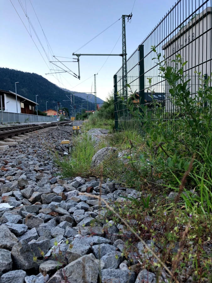 Mandel-Umzüge-Lagerei_2