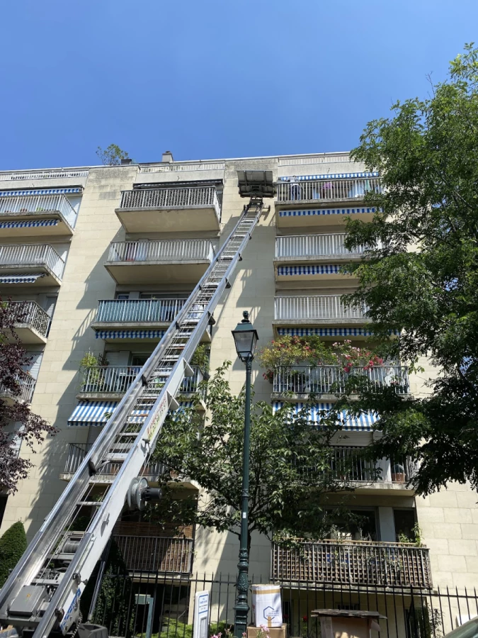 Marathon Déménagement_2