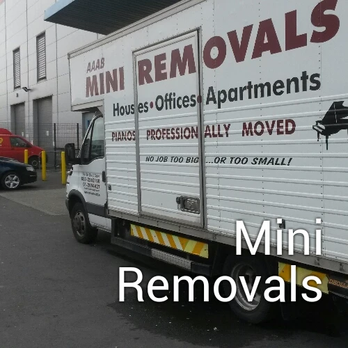 Mini Removals_1