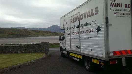 Mini Removals_3