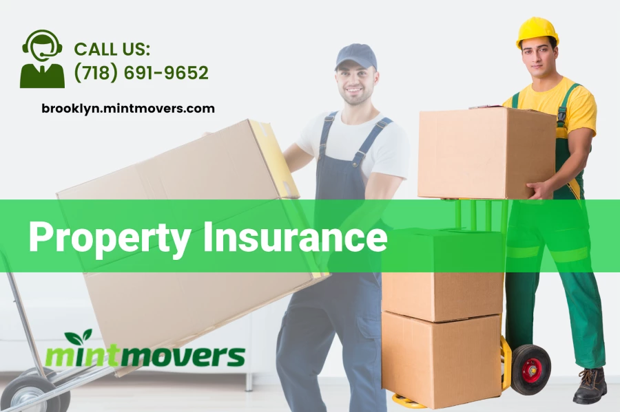 Mint Movers Brooklyn NY_5