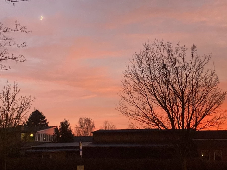 Möbelspedition Schumacher GmbH_3