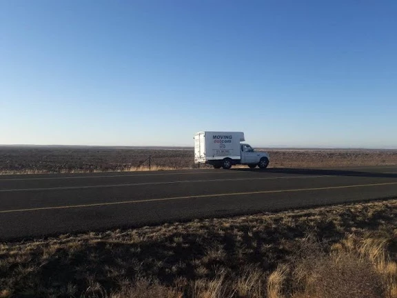Moving Dotcom_2