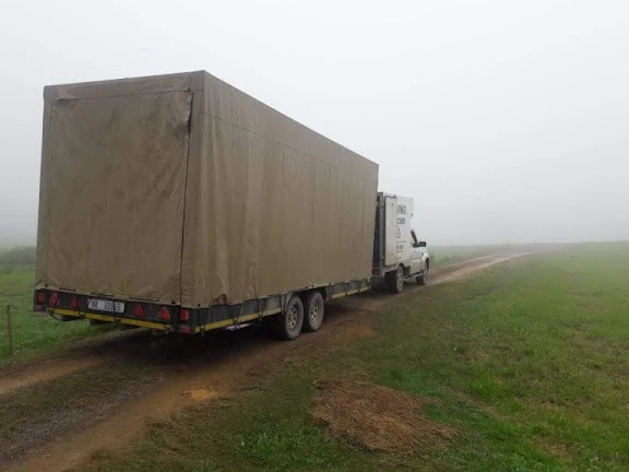 Moving Dotcom_3