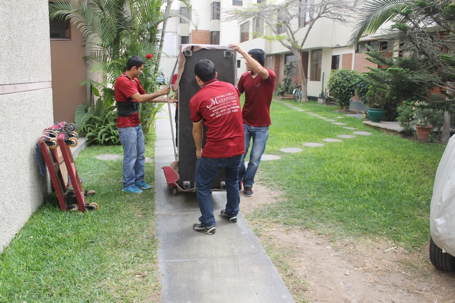 Moving Force Mudanza_2