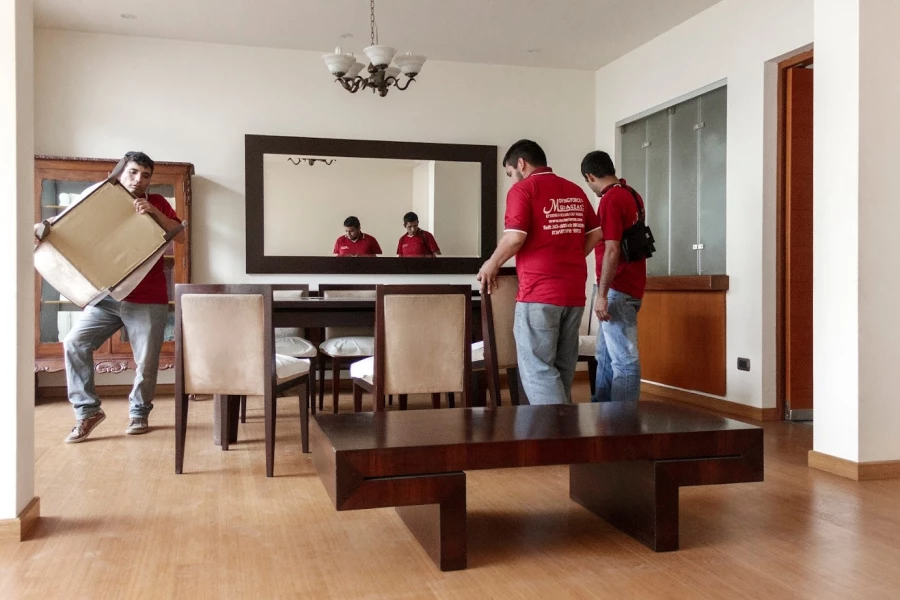 Moving Force Mudanza_3