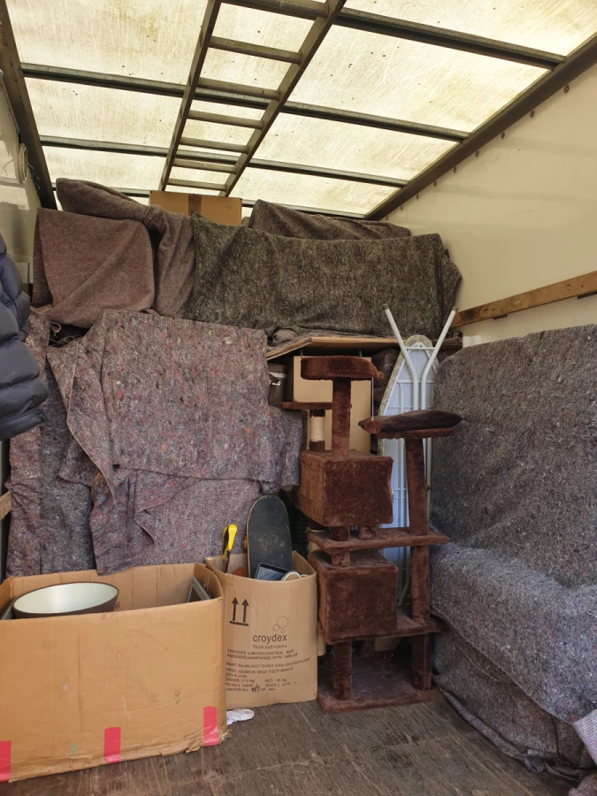 MPM Removals_1