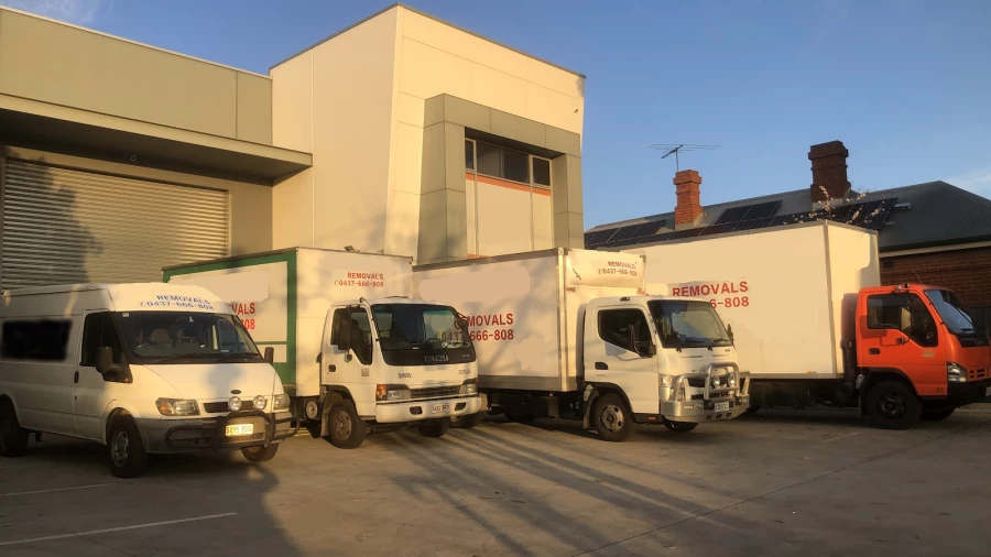 Mr Bear Removals & Transport_1