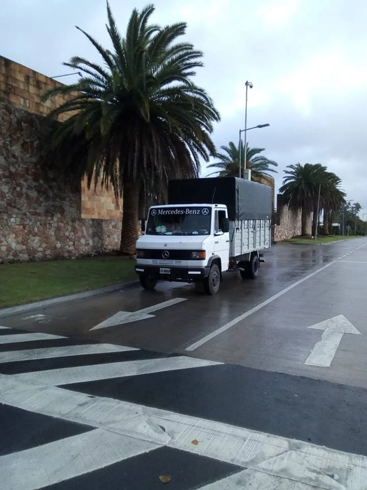 Mudanzas Aníbal_3