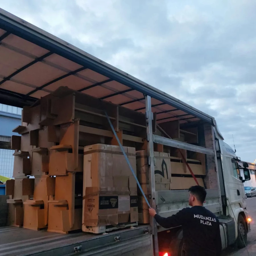 Mudanzas Plata_3