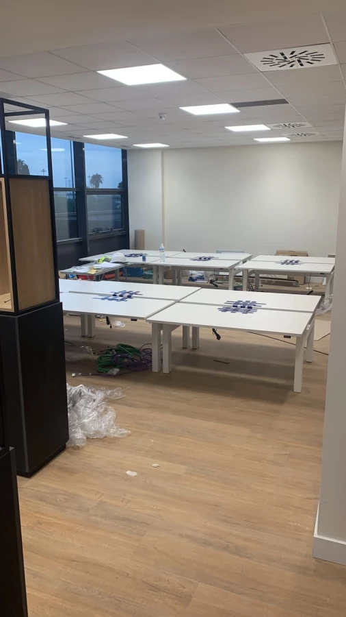 Mudanzas Quality Removals_3