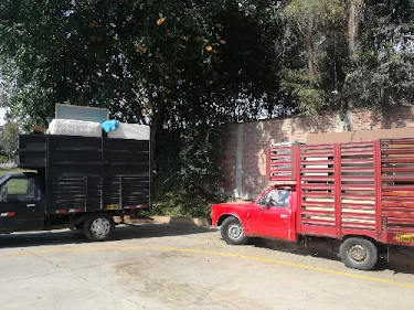 Mudanzas Transportes Fernandez_2
