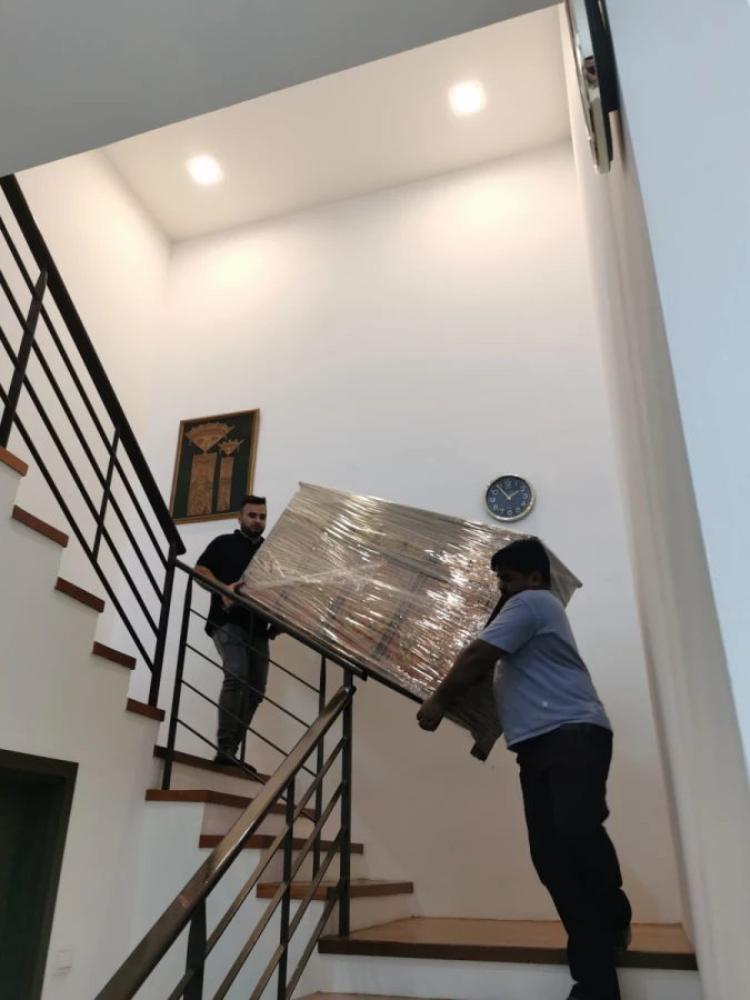 Newbie Mover_2