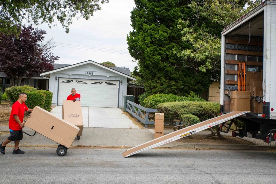 Ninja Movers_5
