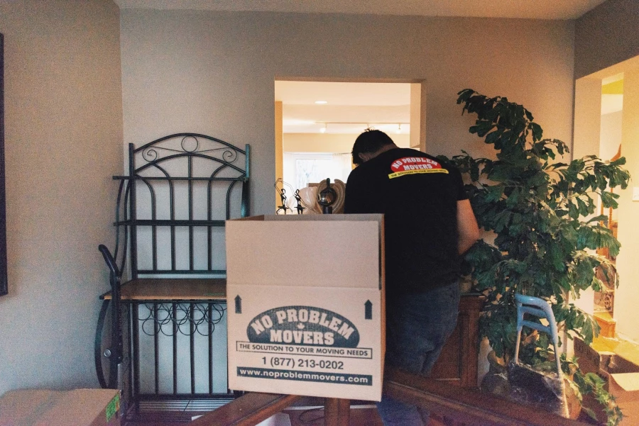 No Problem Movers_4