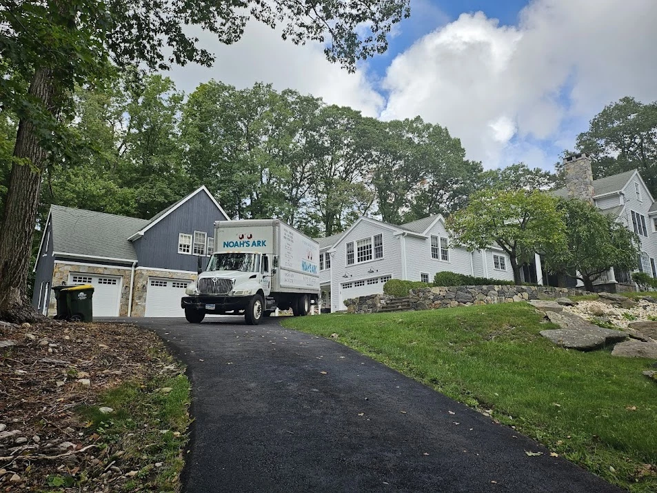 Noah’s Ark Moving_2