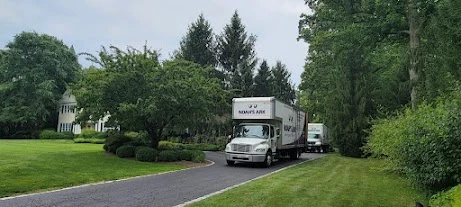 Noah’s Ark Moving_3