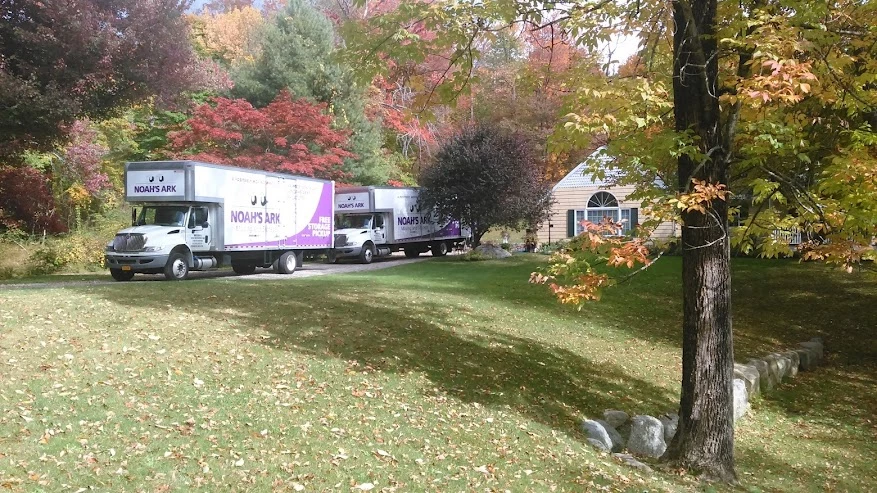 Noah’s Ark Moving_5