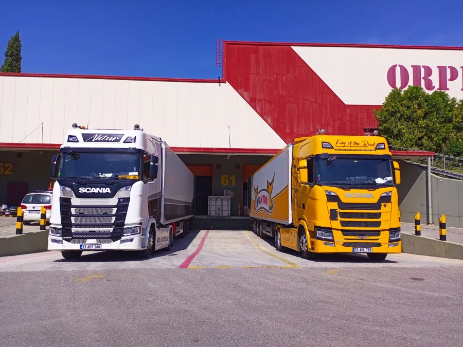 Orphee Beinoglou Int’l Forwarders S.A._3