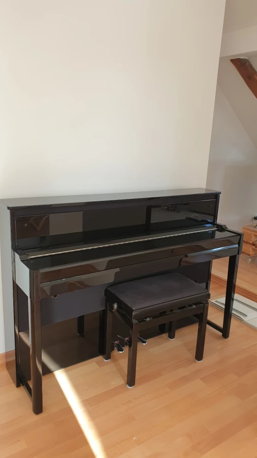 Pati Klaviertransporte_3