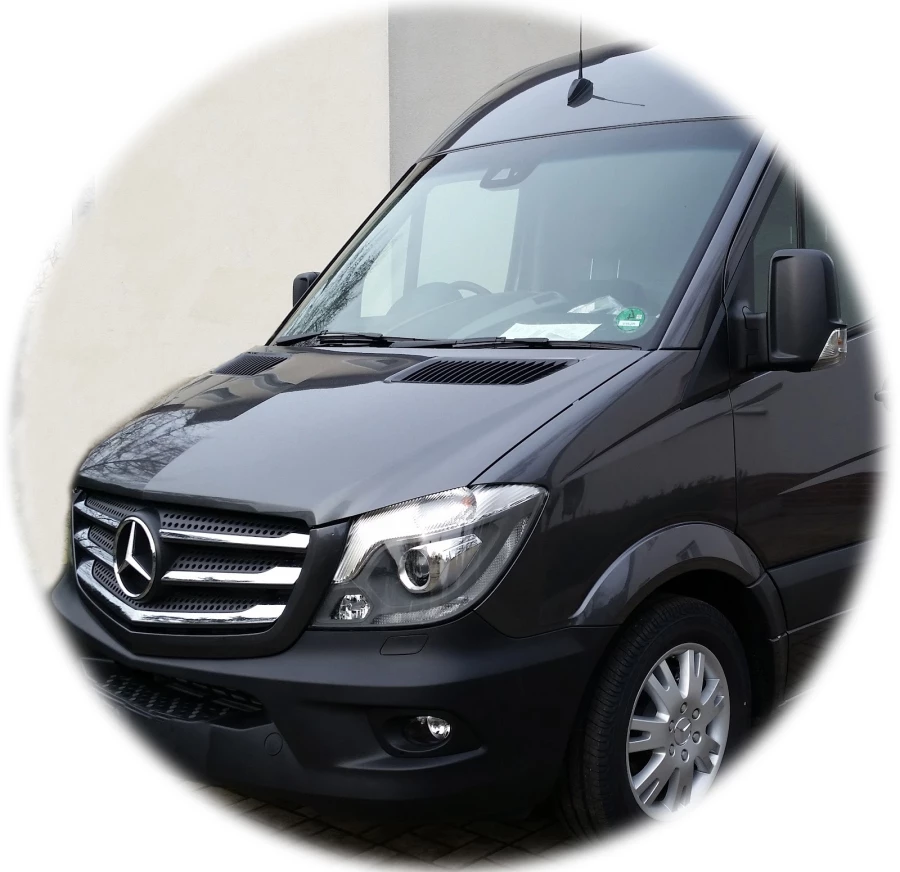 PEFEx – Paczulla European Forwarding Express_1