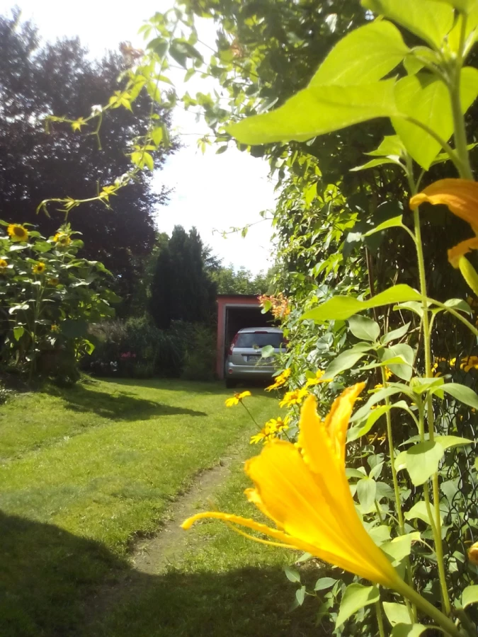 PEFEx – Paczulla European Forwarding Express_5