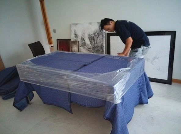 Phoenix Mover_4
