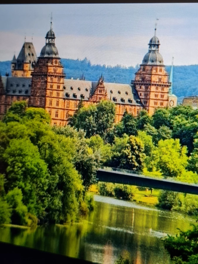 PHÖNIX Umzüge und Entrümpelung_2