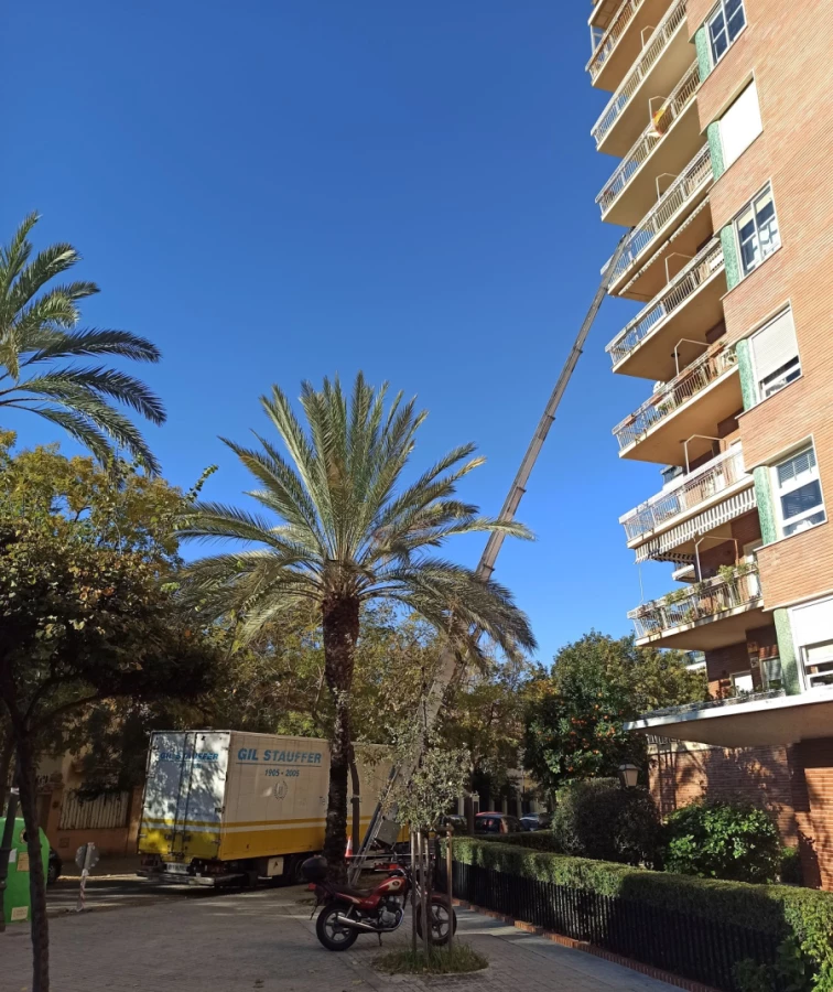 Plataformas Levante_4