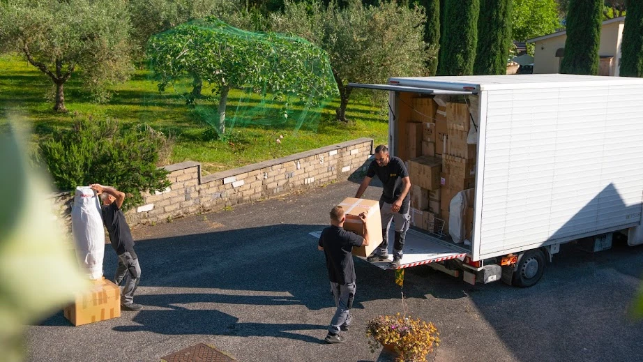 Porcacchia MultiService_1