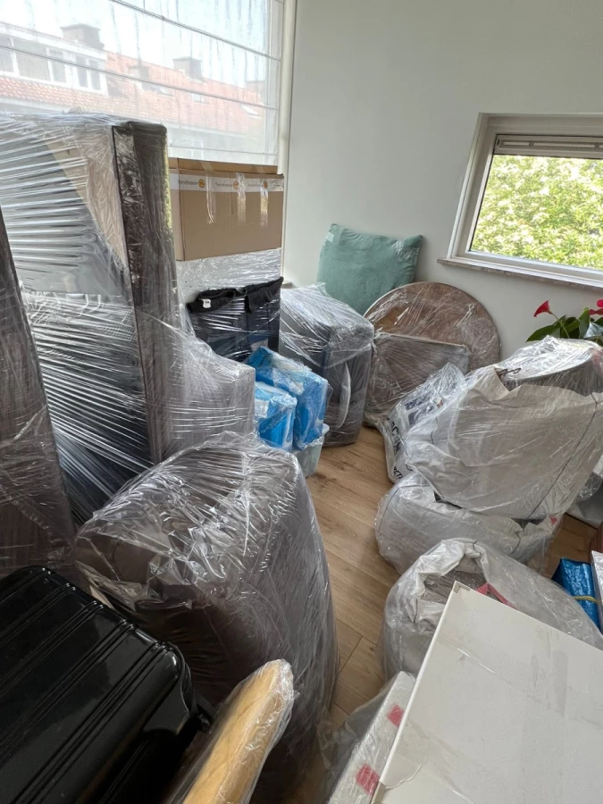 Professional Moving Company_4