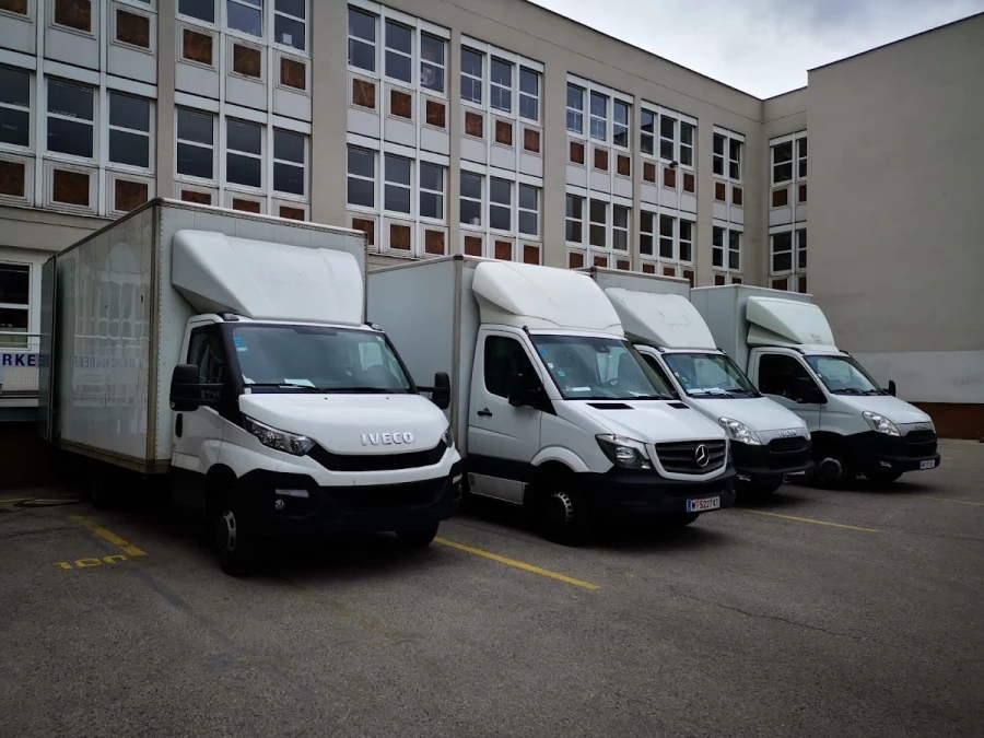 Profi-Umzug und Übersiedlung Wien_1