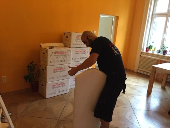 Profi-Umzug und Übersiedlung Wien_5