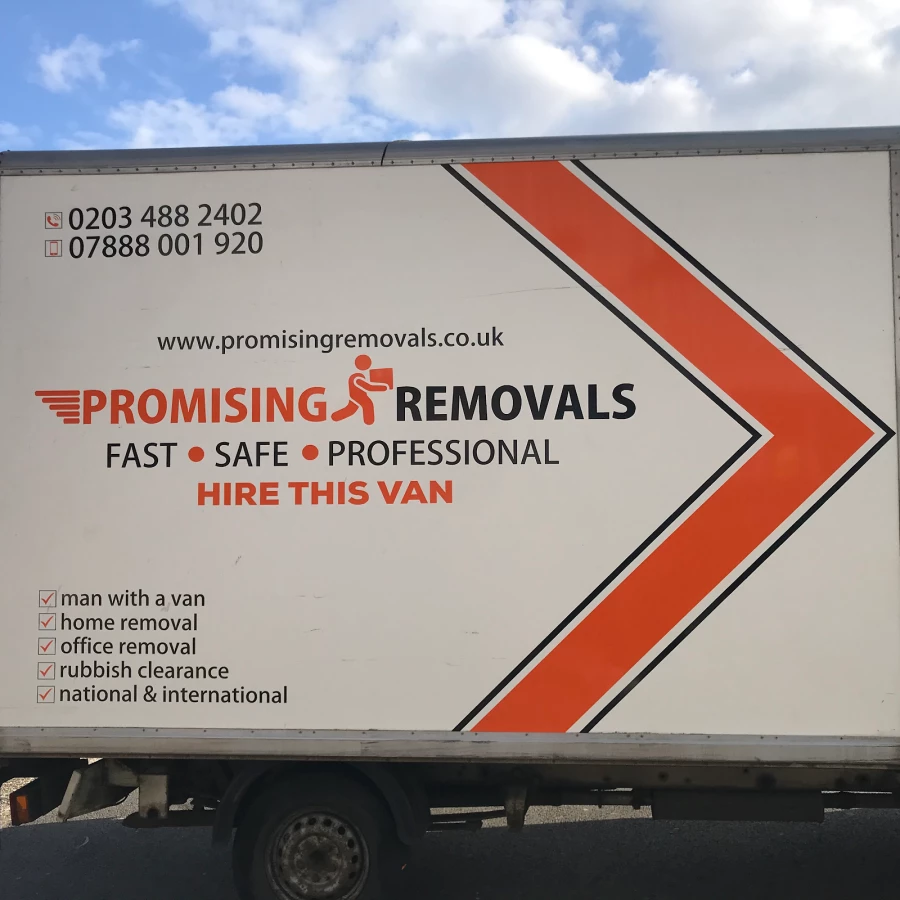 Promising Removals_2